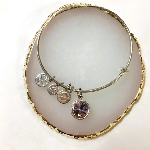 Alex and Ani Swarovski Color Code Amethyst silver tone bangle charm bracelet - Picture 2 of 3